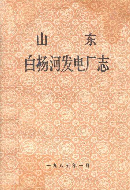 《山东白杨河发电厂志》.pdf_山东省志缩略图