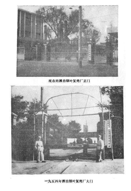 《《潍坊烟叶夏烤厂厂志(1917-1984)》》.pdf_山东省志预览图2