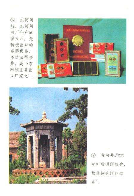 《《聊城地区外贸志》》.pdf_山东省志预览图5