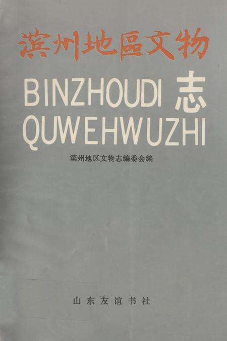 《《滨州地区文物》》.pdf_山东省志缩略图
