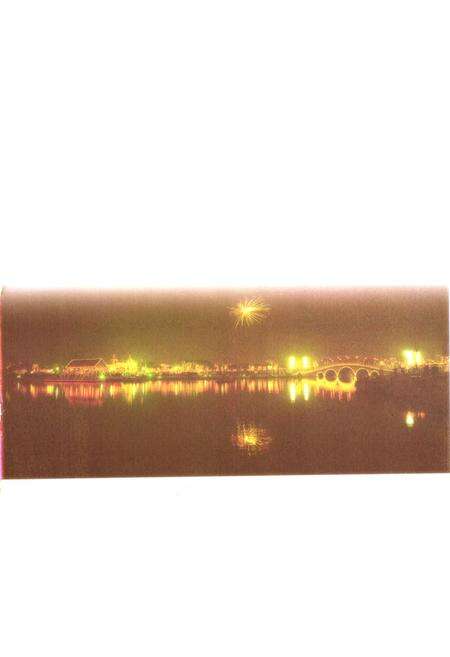 《黄河的记忆·东明风物》.pdf_山东省志预览图2