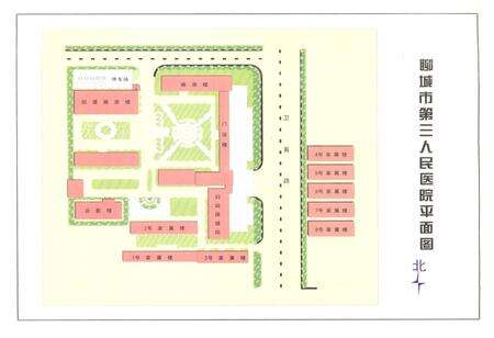 《聊城市第三人民医院 聊城市妇幼保健院 院志(1963-2003)(初稿)》.pdf_山东省志预览图4
