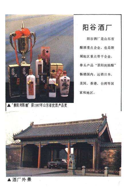 《聊城一轻工业志》.pdf_山东省志预览图4