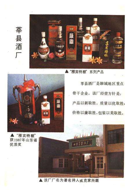 《聊城一轻工业志》.pdf_山东省志预览图5