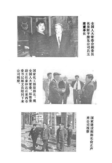《《东方化工志》》.pdf_山东省志预览图4