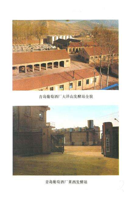 《《青岛葡萄洒厂志(一九一四年-一九八五年)》》.pdf_山东省志预览图4