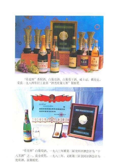 《《青岛葡萄洒厂志(一九一四年-一九八五年)》》.pdf_山东省志预览图5