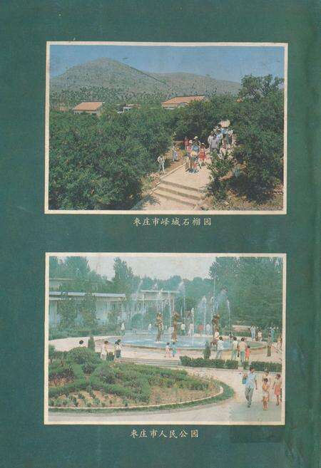 《《枣庄市对外贸易志》》.pdf_山东省志预览图1