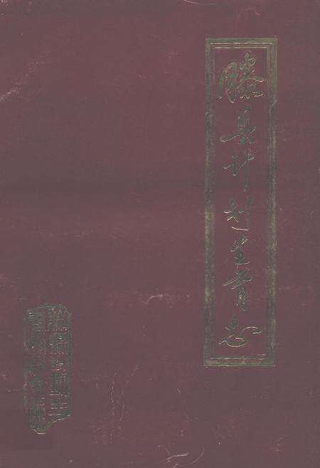 《《滕县计划生育志》》.pdf_山东省志缩略图