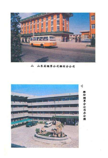 《《潍坊烟草志》》.pdf_山东省志预览图4