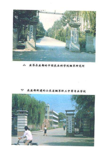 《《潍坊烟草志》》.pdf_山东省志预览图5