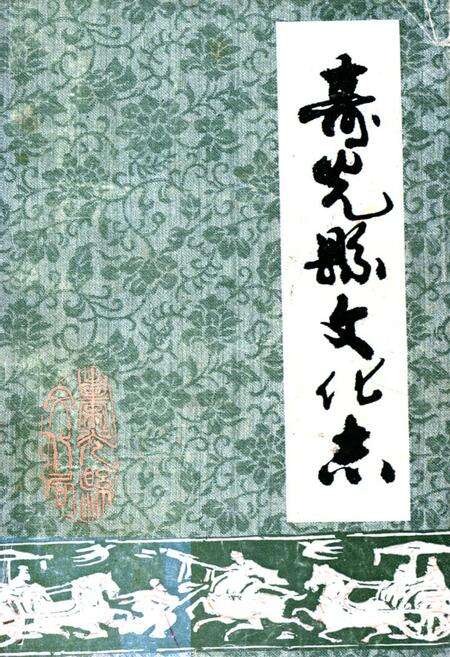 《《寿光县文化志》》.pdf_山东省志缩略图