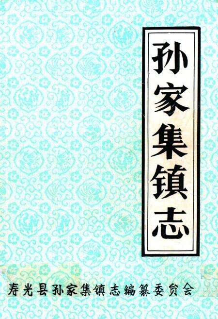 《《孙家集镇志》》.pdf_山东省志缩略图