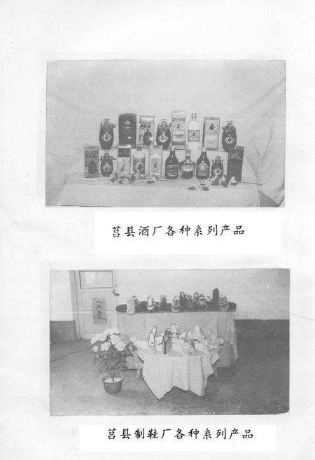 《《莒县工业志》》.pdf_山东省志预览图5