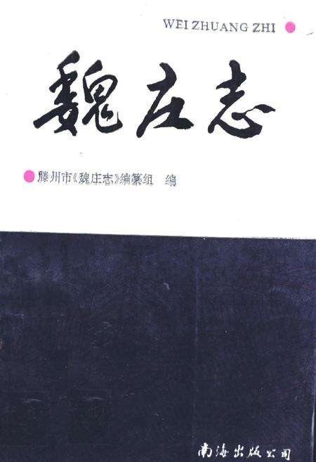 《《魏庄志》》.pdf_山东省志缩略图