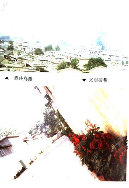 《《魏庄志》》.pdf_山东省志预览图3