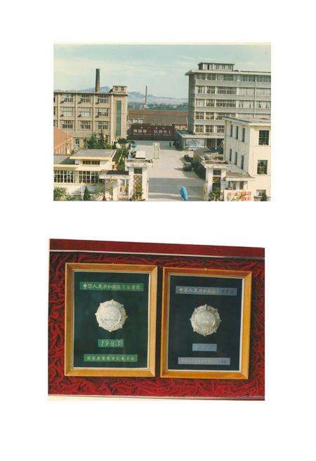 《烟台木钟厂志(1915-1985)》.pdf_山东省志预览图1