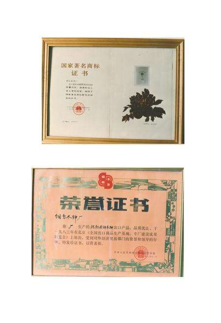 《烟台木钟厂志(1915-1985)》.pdf_山东省志预览图2