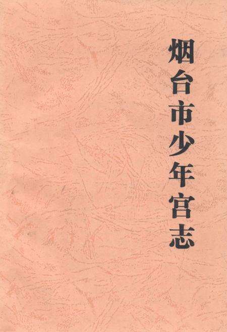 《烟台市少年宫志》.pdf_山东省志缩略图