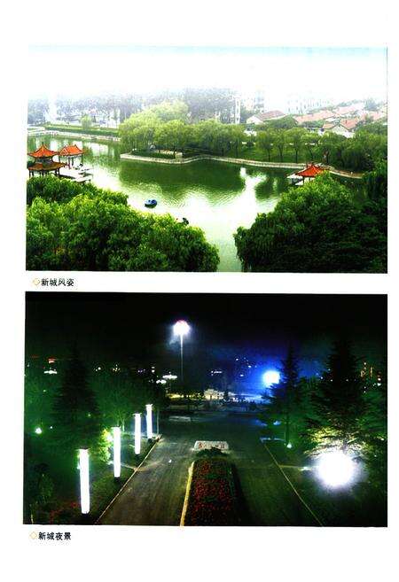 《《山亭区文化志》》.pdf_山东省志预览图5