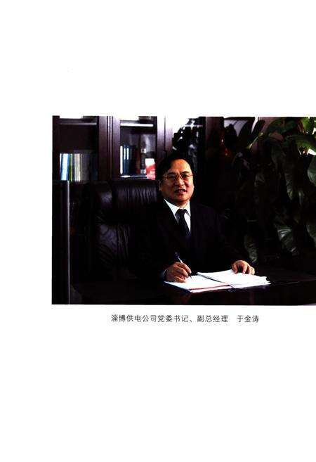 《淄博供电公司志(2000-2010)》.pdf_山东省志预览图5