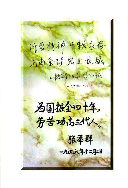 《山东省沂南金矿矿志》.pdf_山东省志预览图3