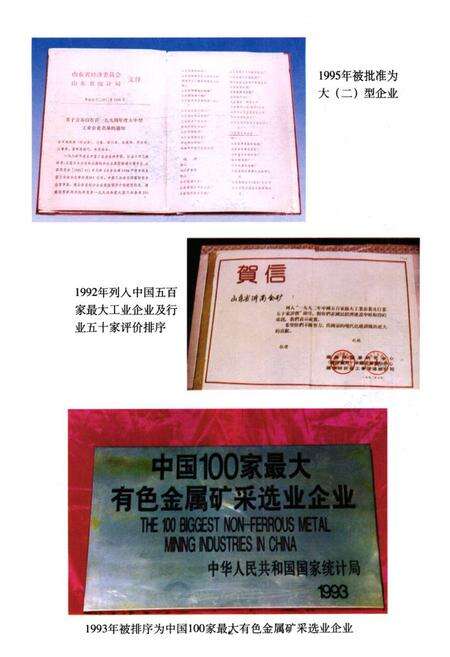 《山东省沂南金矿矿志》.pdf_山东省志预览图5