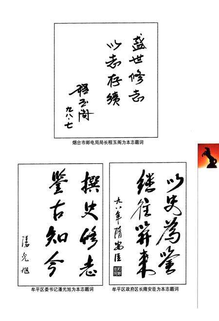 《《牟平邮电志(1986-1998)》》.pdf_山东省志预览图4