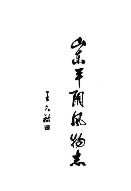《山东平阴风物志》.pdf_山东省志预览图3