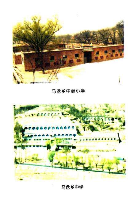 《《马家沟岔学校志》》.pdf_山东省志预览图3
