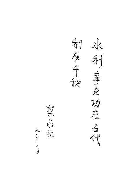 《《济宁市水利志》》.pdf_山东省志预览图2