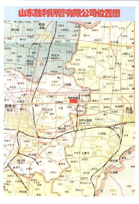 《山东胜利钢管有限公司志续》.pdf_山东省志预览图5
