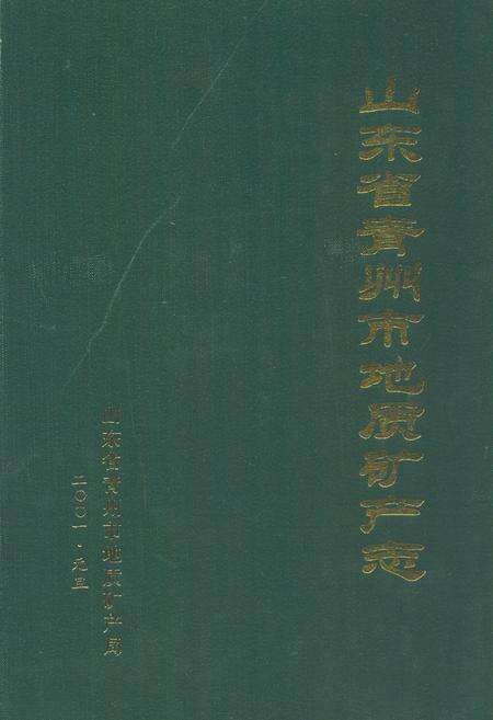 《山东省青州市地质矿产志》.pdf_山东省志缩略图