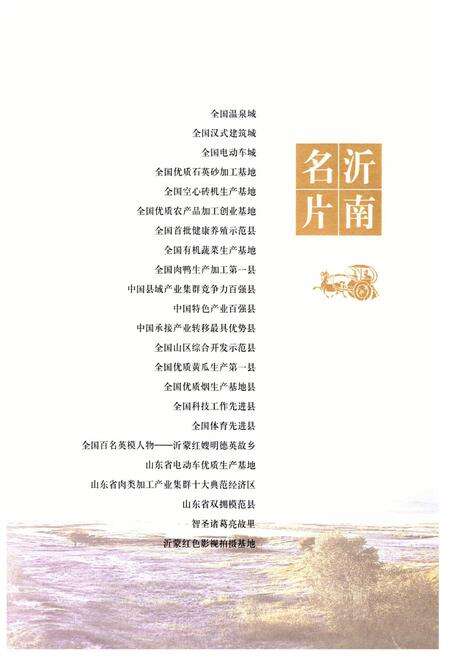 《沂南县志(1990-2005)》.pdf_山东省志预览图2