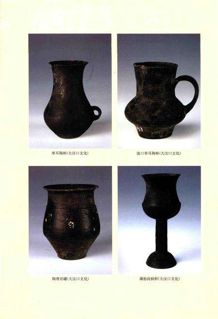 《五莲文物志》.pdf_山东省志预览图5