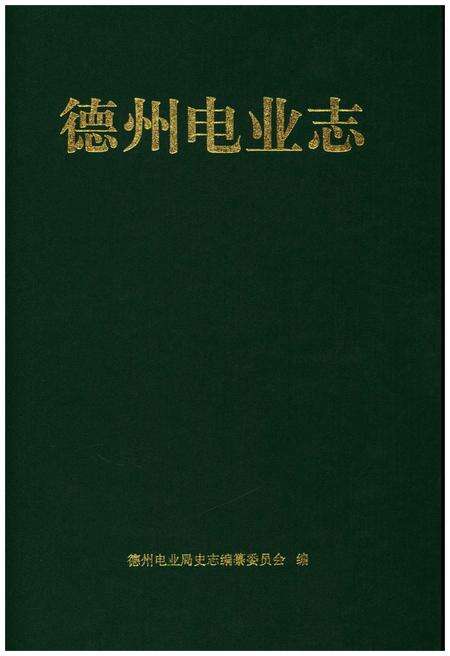 《德州电业志(1995-2000)》.pdf_山东省志预览图1