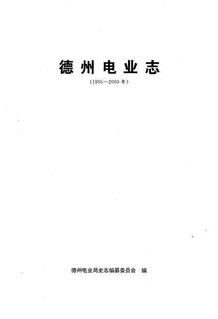 《德州电业志(1995-2000)》.pdf_山东省志预览图2