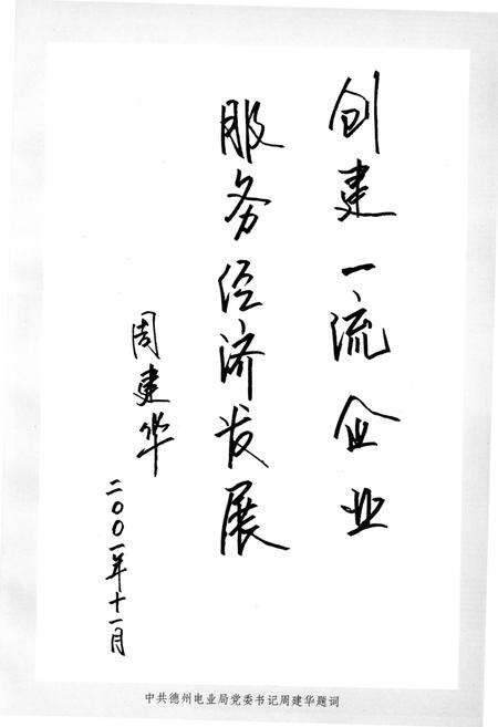 《德州电业志(1995-2000)》.pdf_山东省志预览图4