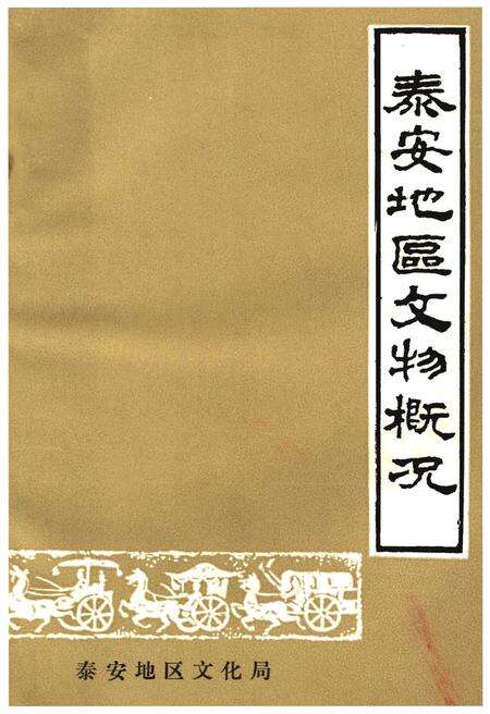 《泰安地区文物概况》.pdf_山东省志缩略图