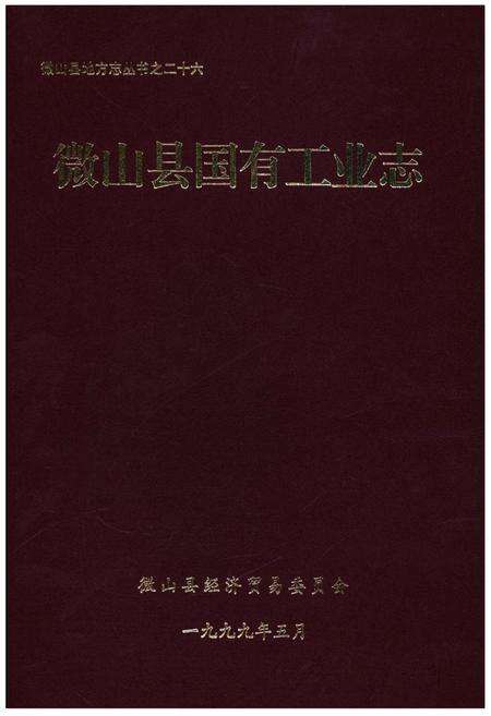 《微山县国有工业志》.pdf_山东省志缩略图