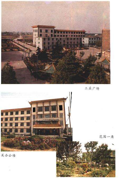 《肥城矿务局白庄煤矿志（1970-1990）》.pdf_山东省志预览图5