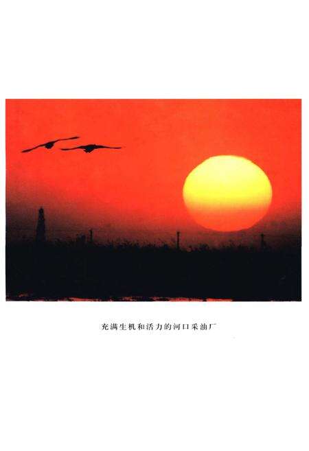 《河口采油厂志 1988-2001》.pdf_山东省志预览图4