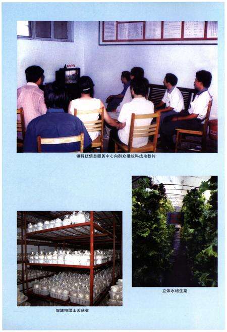 《邹城市唐村镇志》.pdf_山东省志预览图3