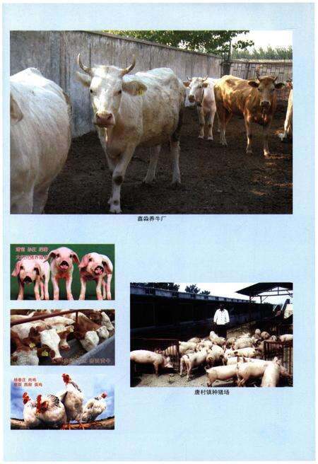 《邹城市唐村镇志》.pdf_山东省志预览图4