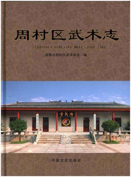 《周村区武术志》.pdf_山东省志缩略图