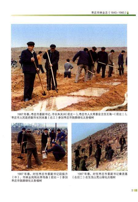 《枣庄市林业志(1840-1985)》.pdf_山东省志预览图3