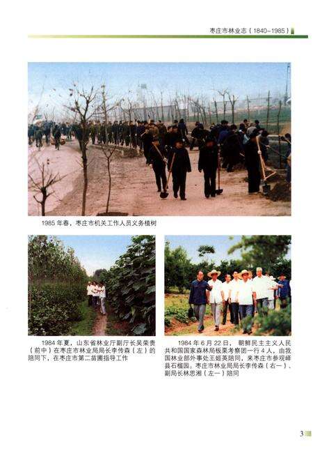 《枣庄市林业志(1840-1985)》.pdf_山东省志预览图5