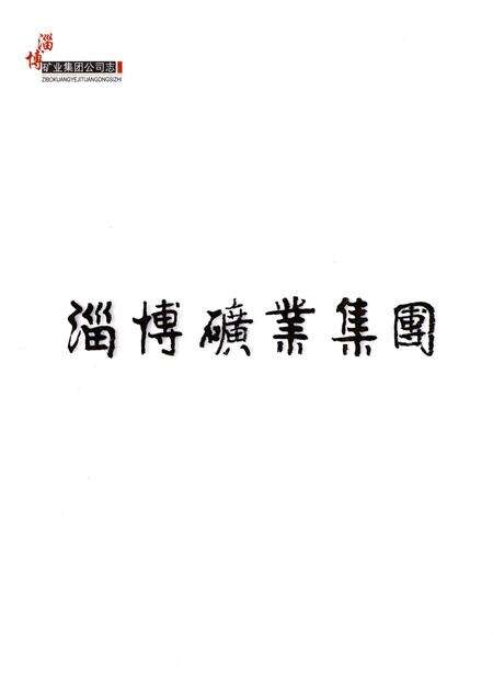 《淄博矿业集团公司志1990-2011》.pdf_山东省志预览图3
