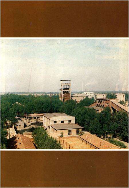 《济南张马屯铁矿志 全一卷1966-1985》.pdf_山东省志预览图4