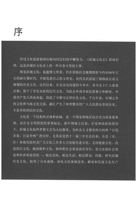 《山东滨州滨城文化志1949-2013》.pdf_山东省志预览图5
